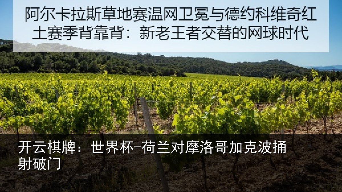 开云棋牌：世界杯-荷兰对摩洛哥加克波捅射破门