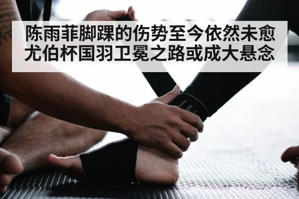 陈雨菲脚踝的伤势至今依然未愈 尤伯杯国羽卫冕之路或成大悬念