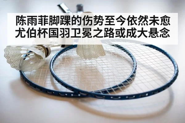 badminton racket close up