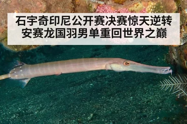 石宇奇印尼公开赛决赛惊天逆转安赛龙国羽男单重回世界之巅