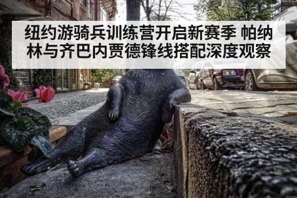 纽约游骑兵训练营开启新赛季 帕纳林与齐巴内贾德锋线搭配深度观察